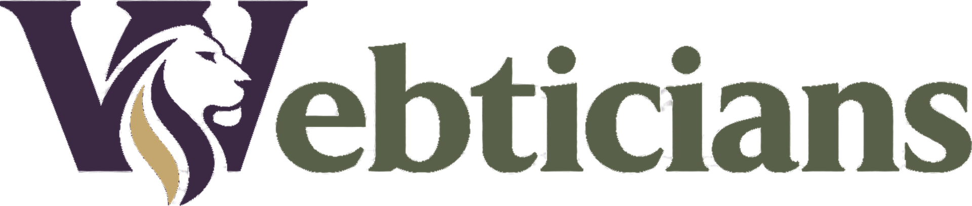 Webticians